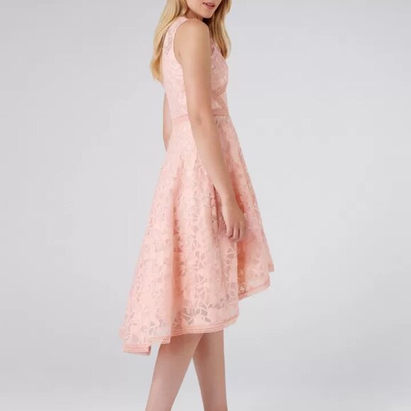 BNWT Beautiful Ever New Octavia Organza Prom Dress Size 6 - Picture 3 of 13